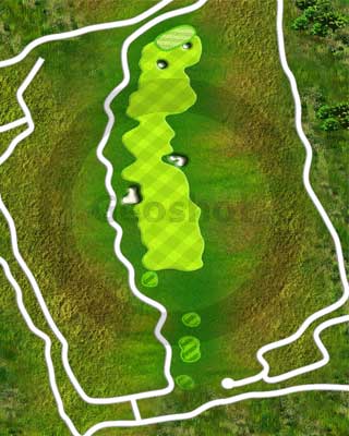 graphic design services